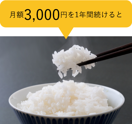 月額3,000円を1年間続けると